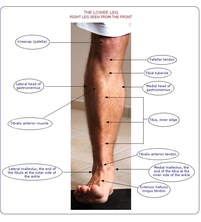 lump-on-shin-bone-after-injury